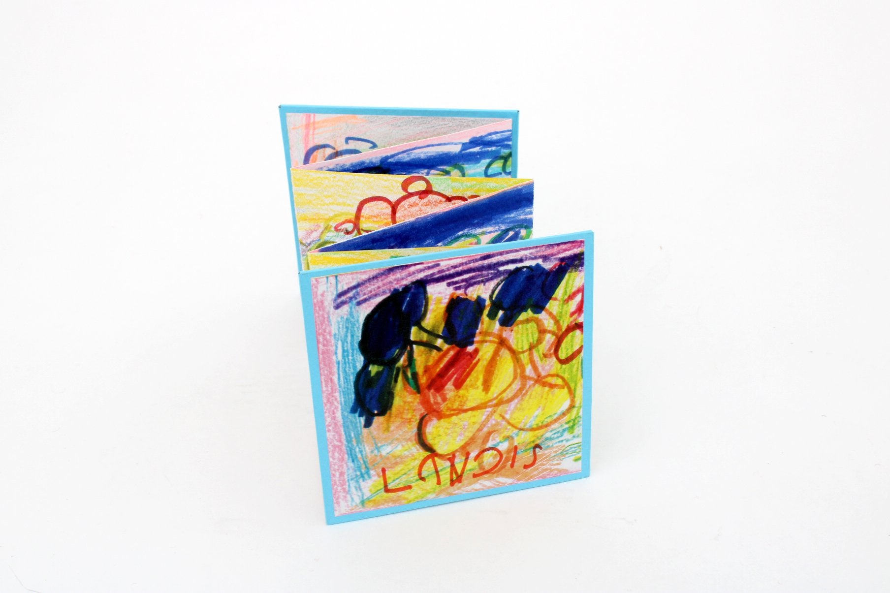 Accordion Book by Larry Nichols