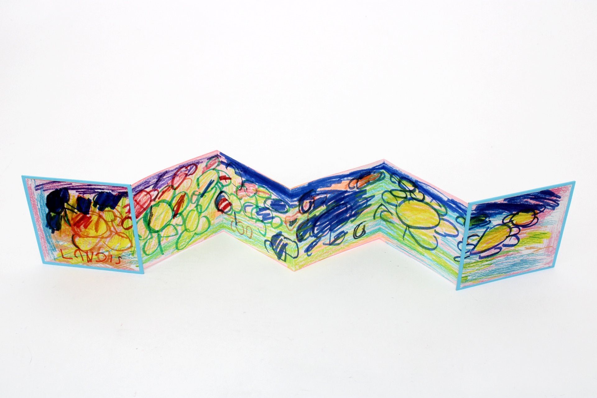 Accordion Book by Larry Nichols