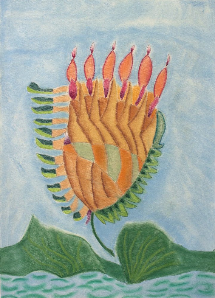 Cactus Flower by Sandy Chale