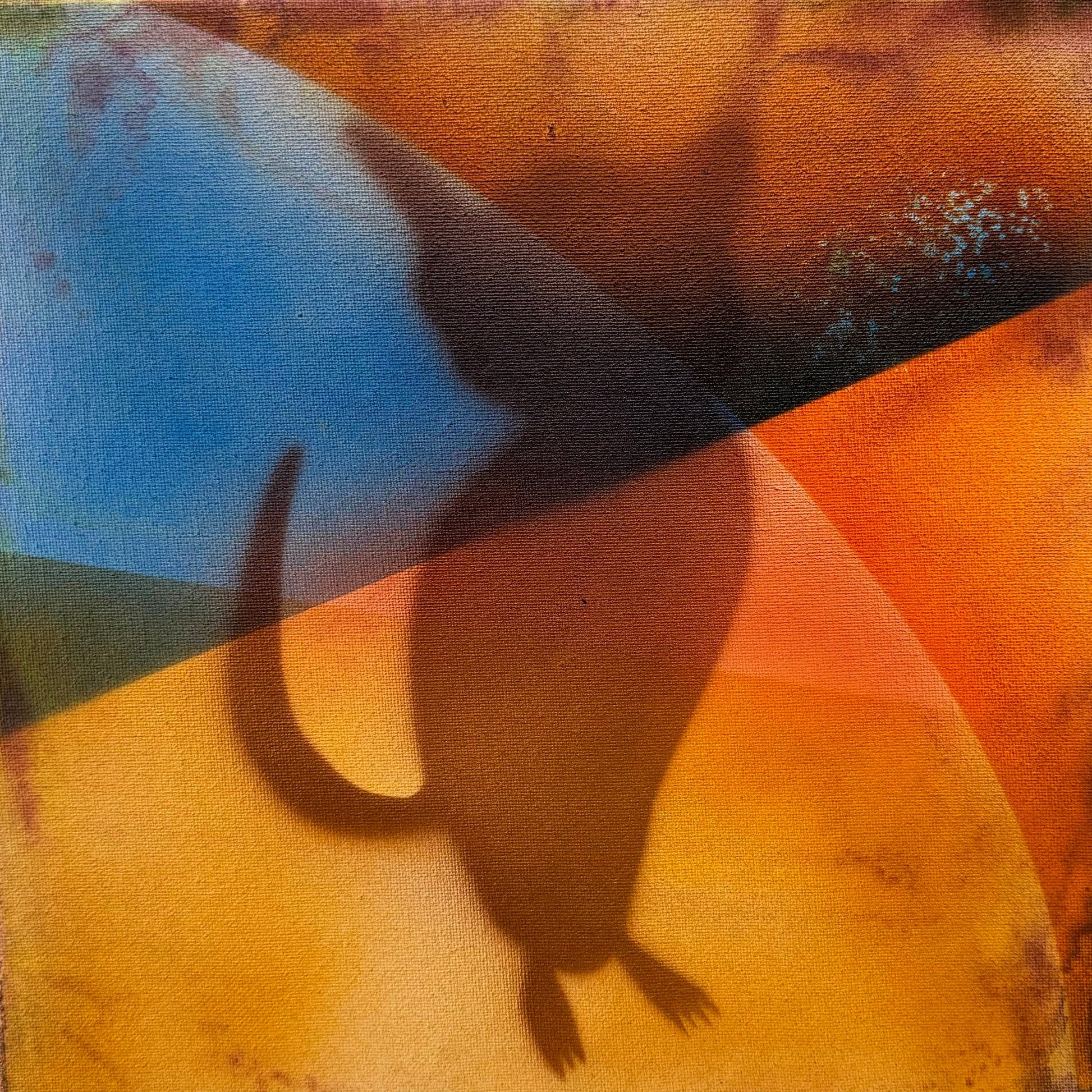 Cat by James Archuleta