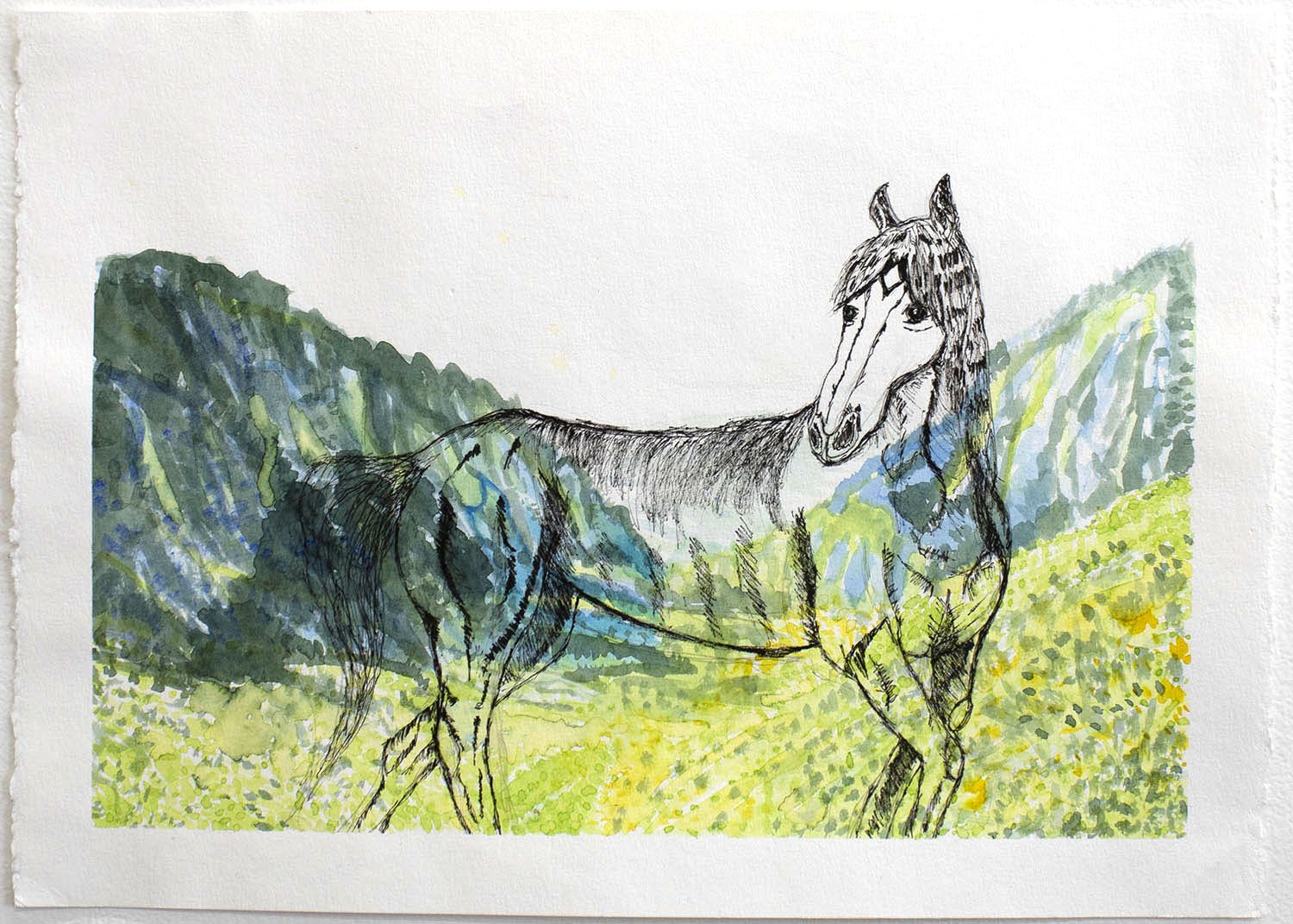 Horse Ghost by Christina Yoo