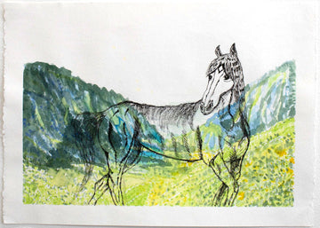 Horse Ghost by Christina Yoo
