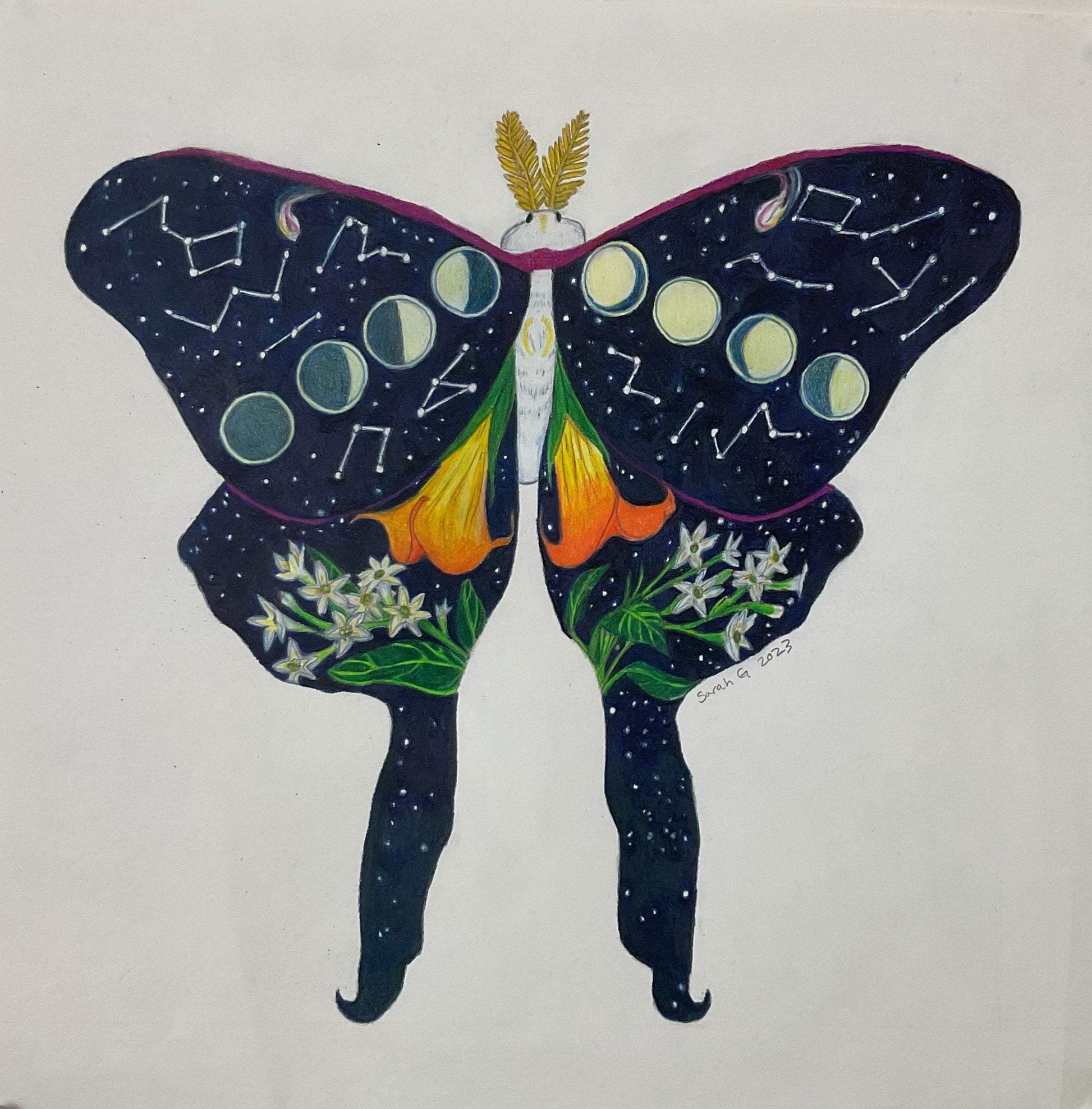 Night by Sarah Gerke