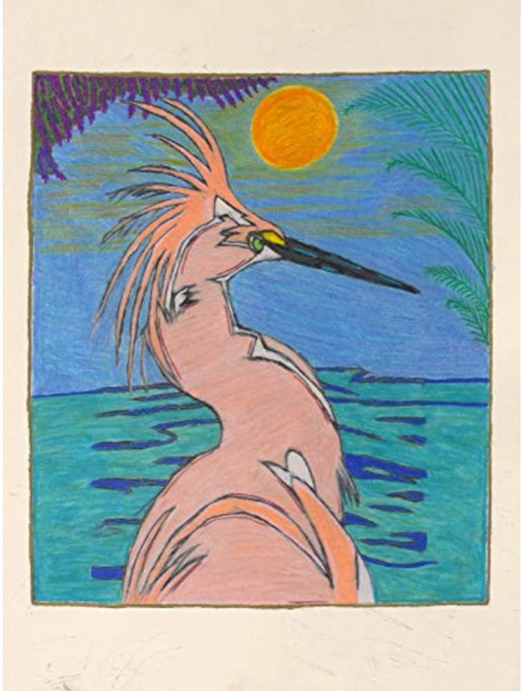 Pink Heron by Diana Lopez