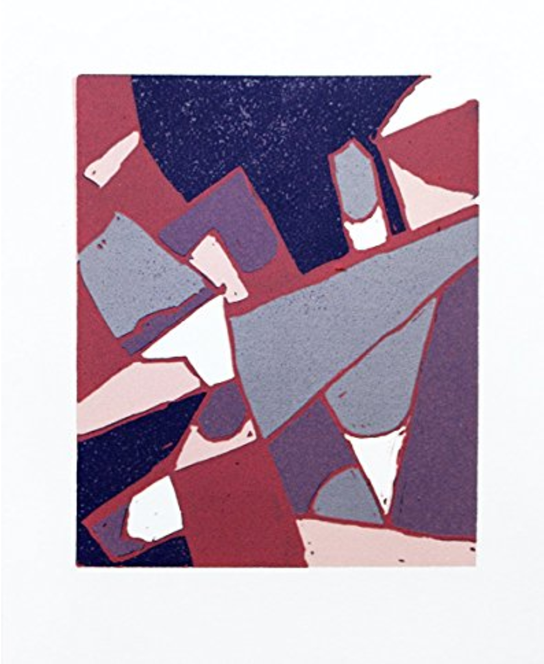 Purple Plan by Raymond McAdams