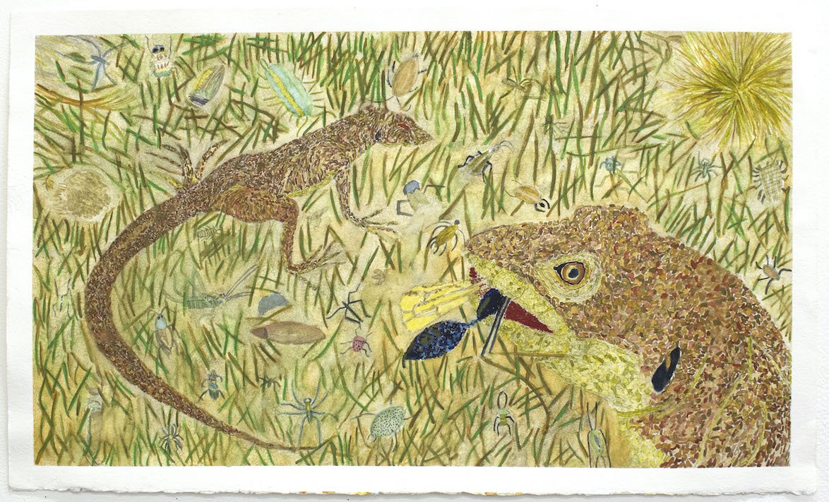 Reptile Lifeby Tony Brown