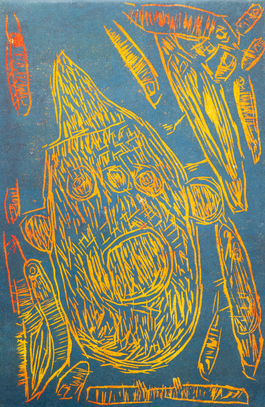 Shark by Jesse Warford