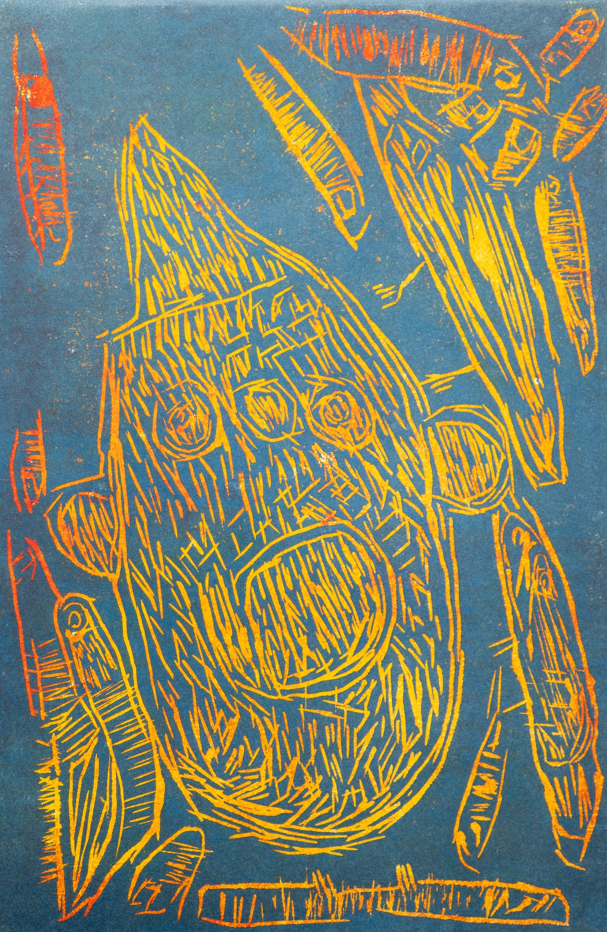 Shark by Jesse Warford