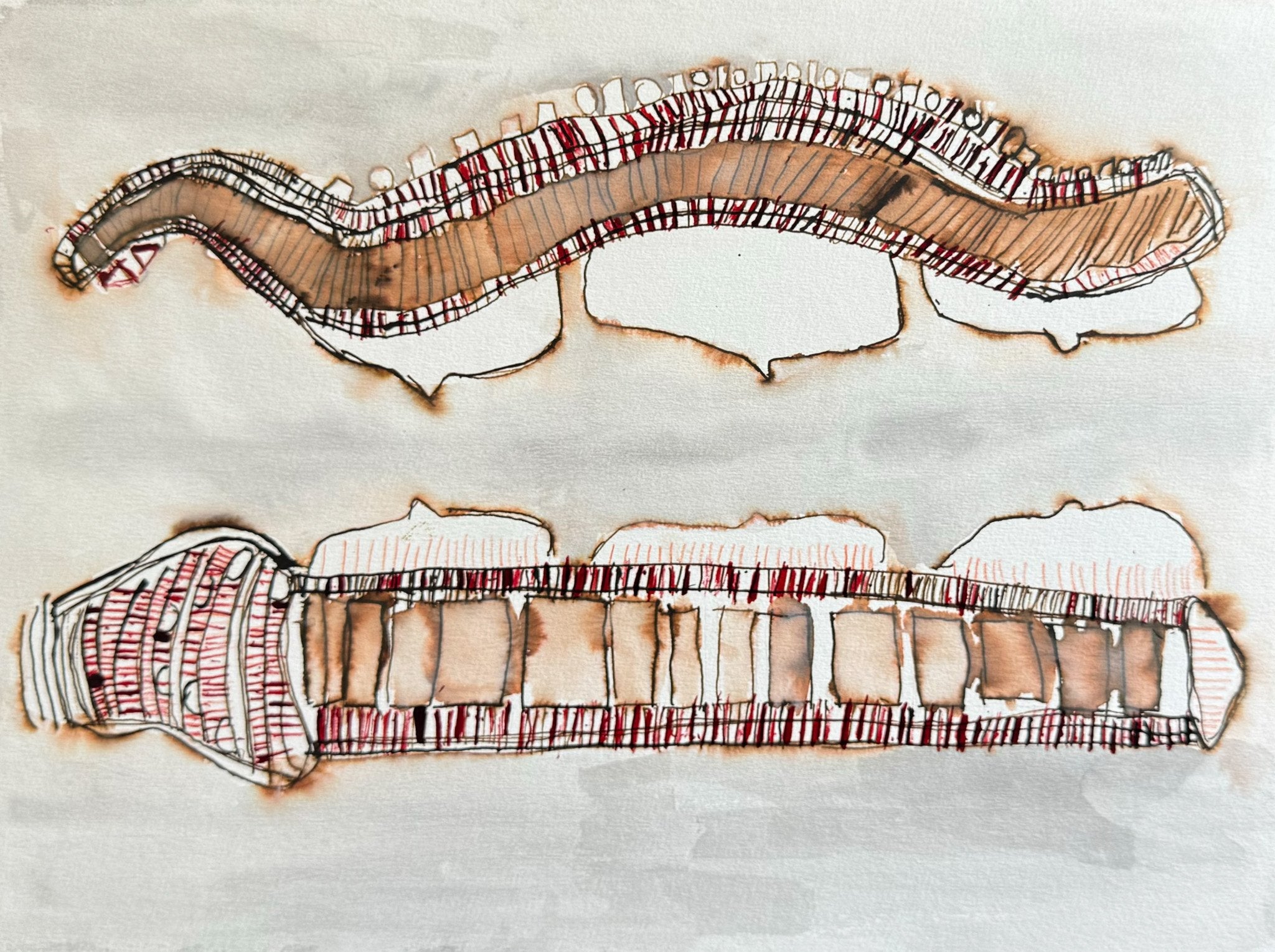 Spines by Juan Pierri