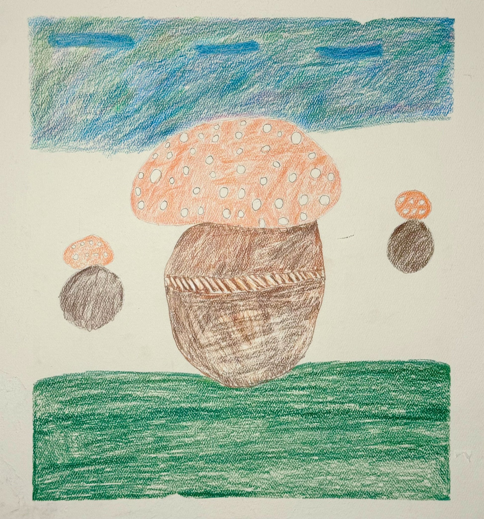 The Mushrooms by Lisette Ruiz