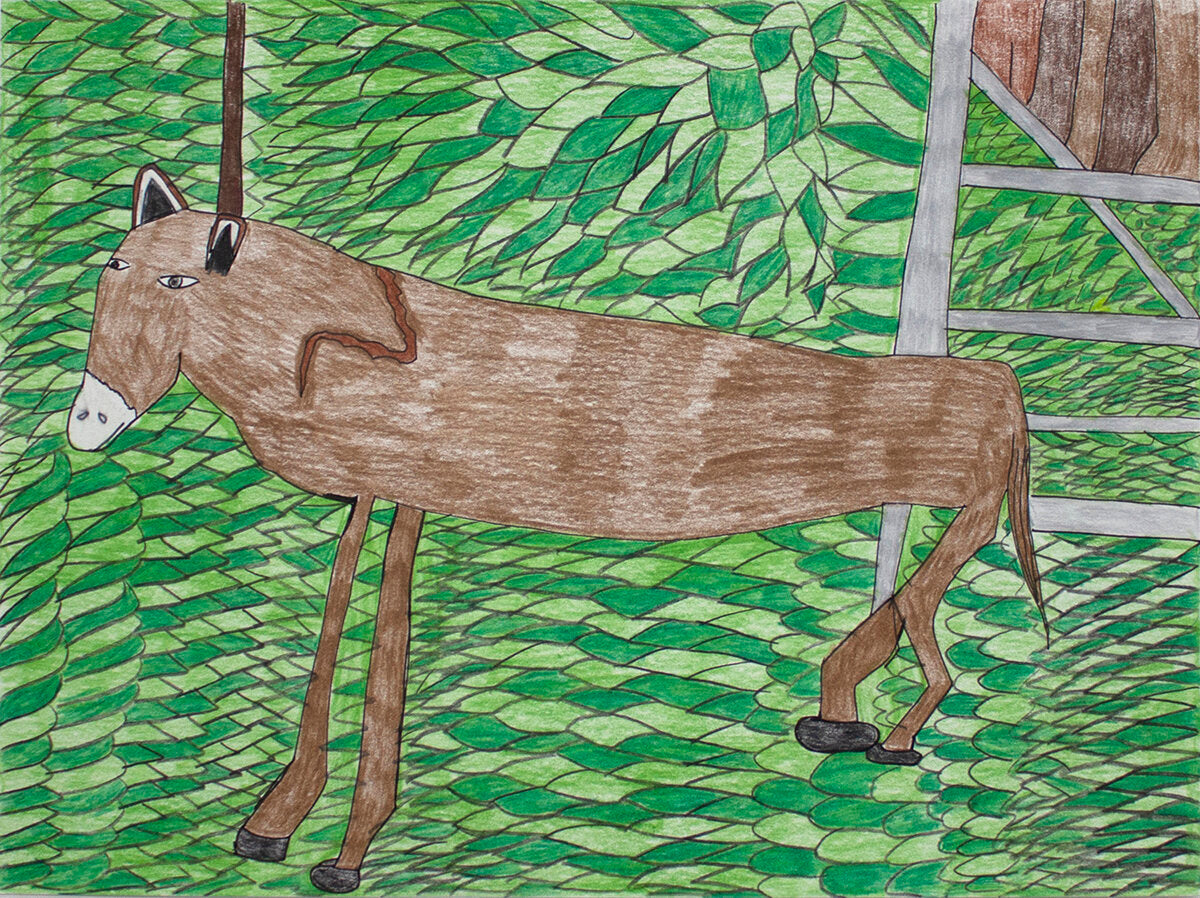 Untitled (Animal On Green Background) by Shelima King