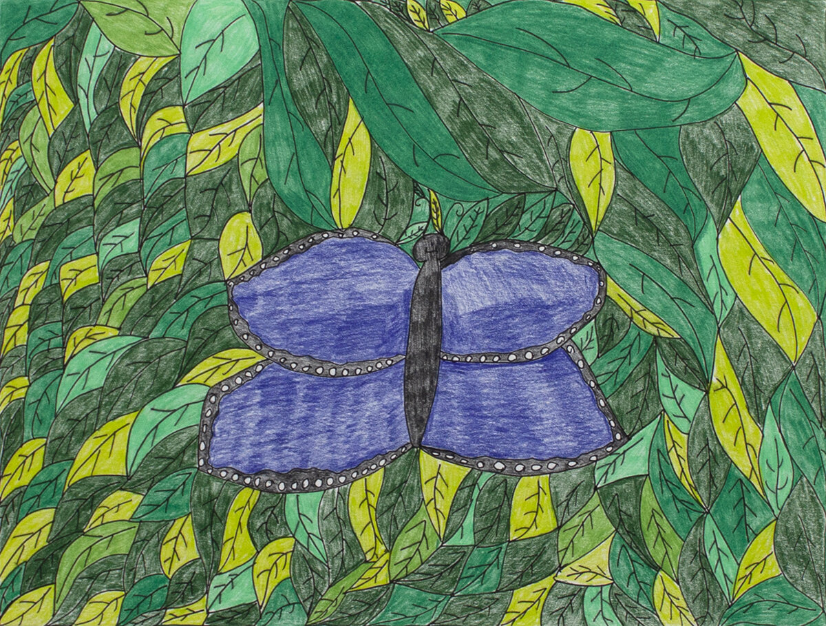 Untitled (Butterfly With Blue Wings) by Shelima King