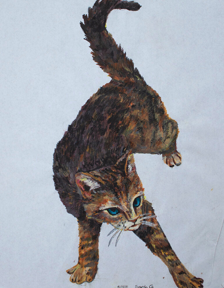 Untitled (Cat) by Sarah Gerke