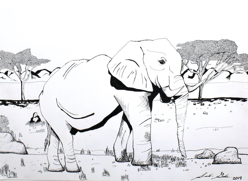 Untitled (Elephant) by Sarah Gerke