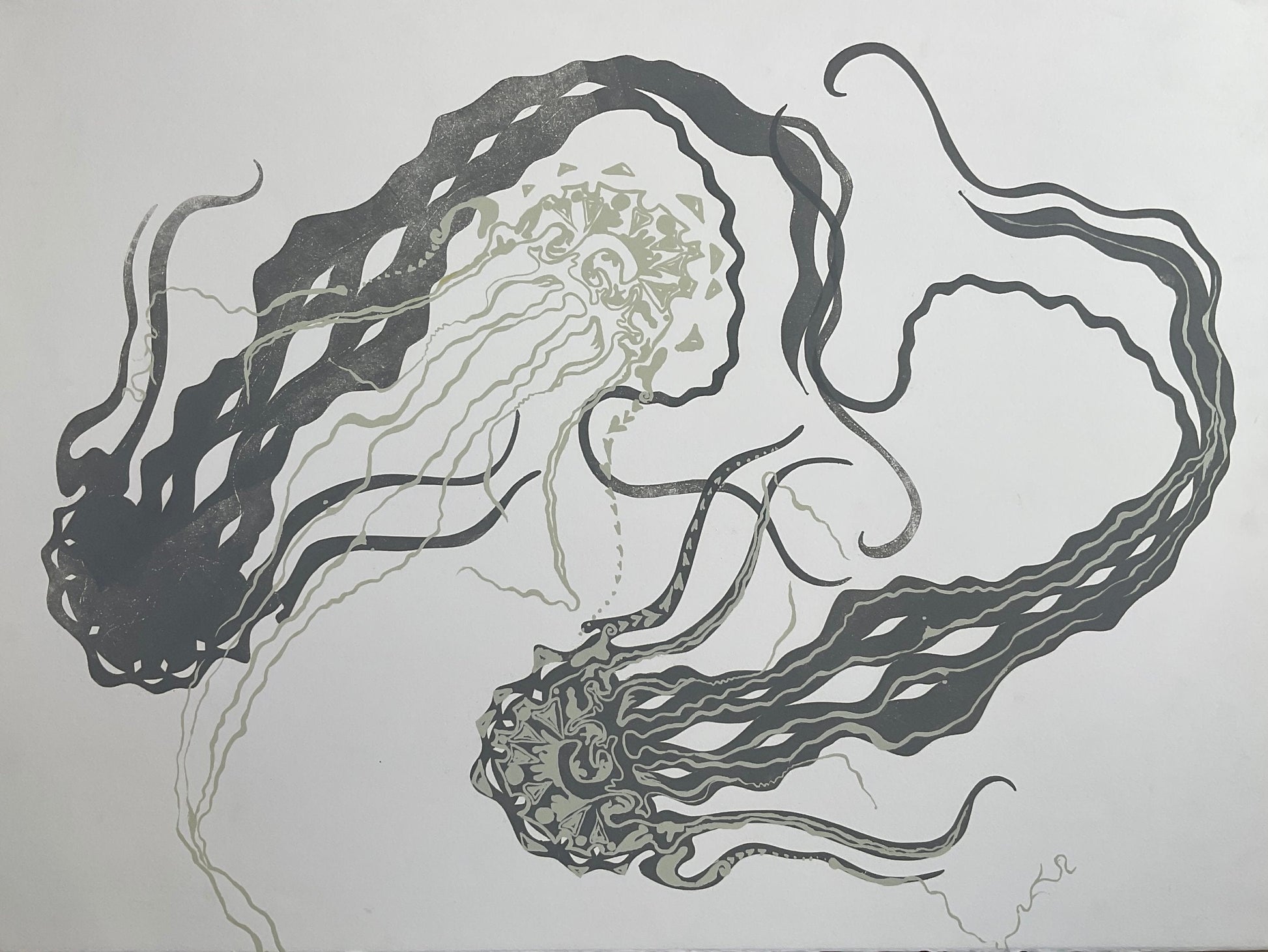 Untitled (Jellyfishes) by Jamie Arenas