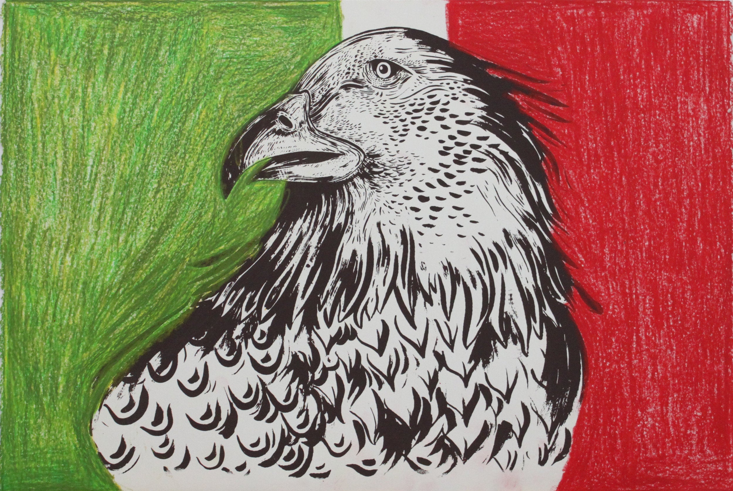 Untitled (Mexican Eagle) by Alejandro Diaz