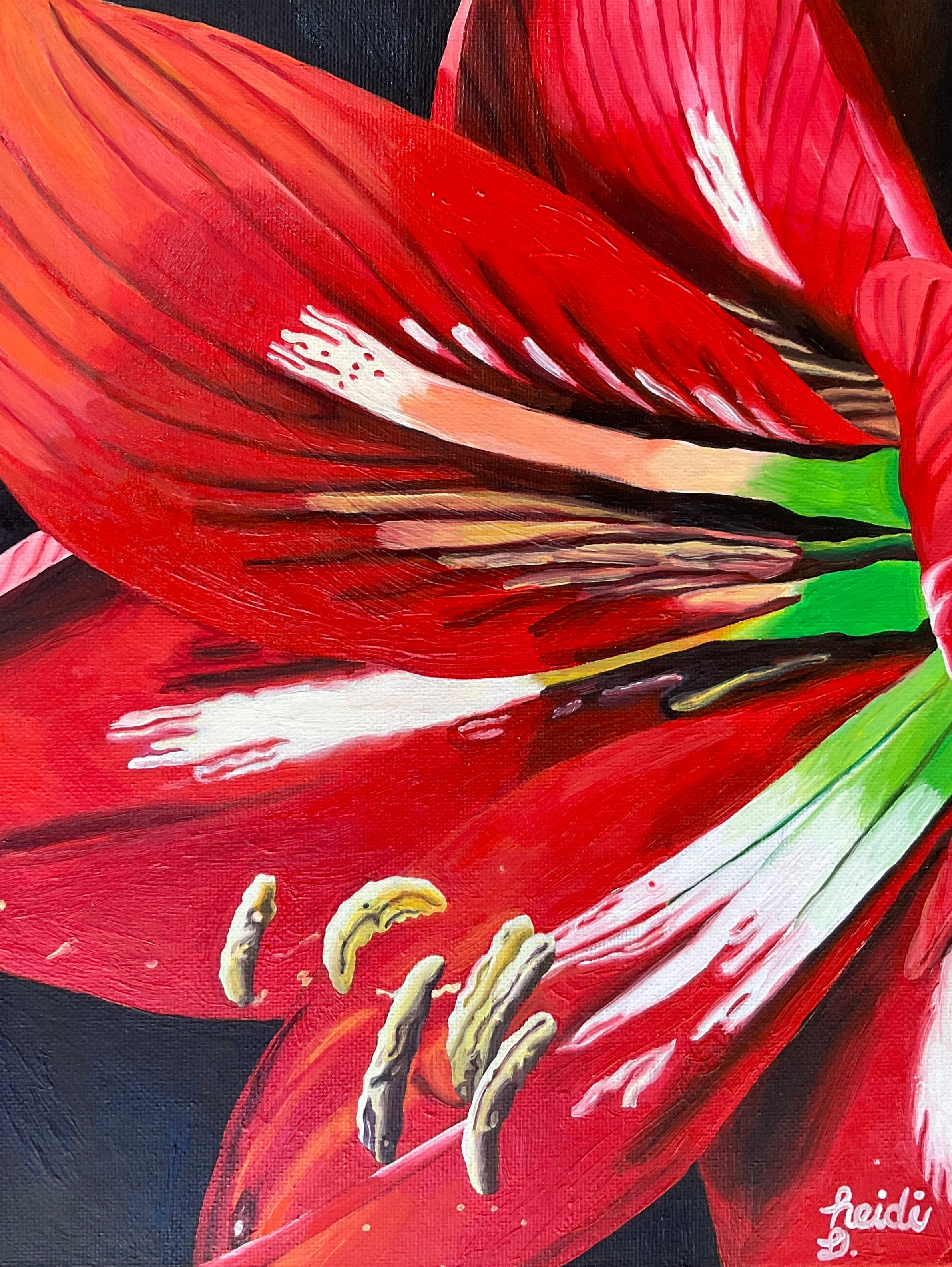 Untitled (Red Flower) by Heidi Dong