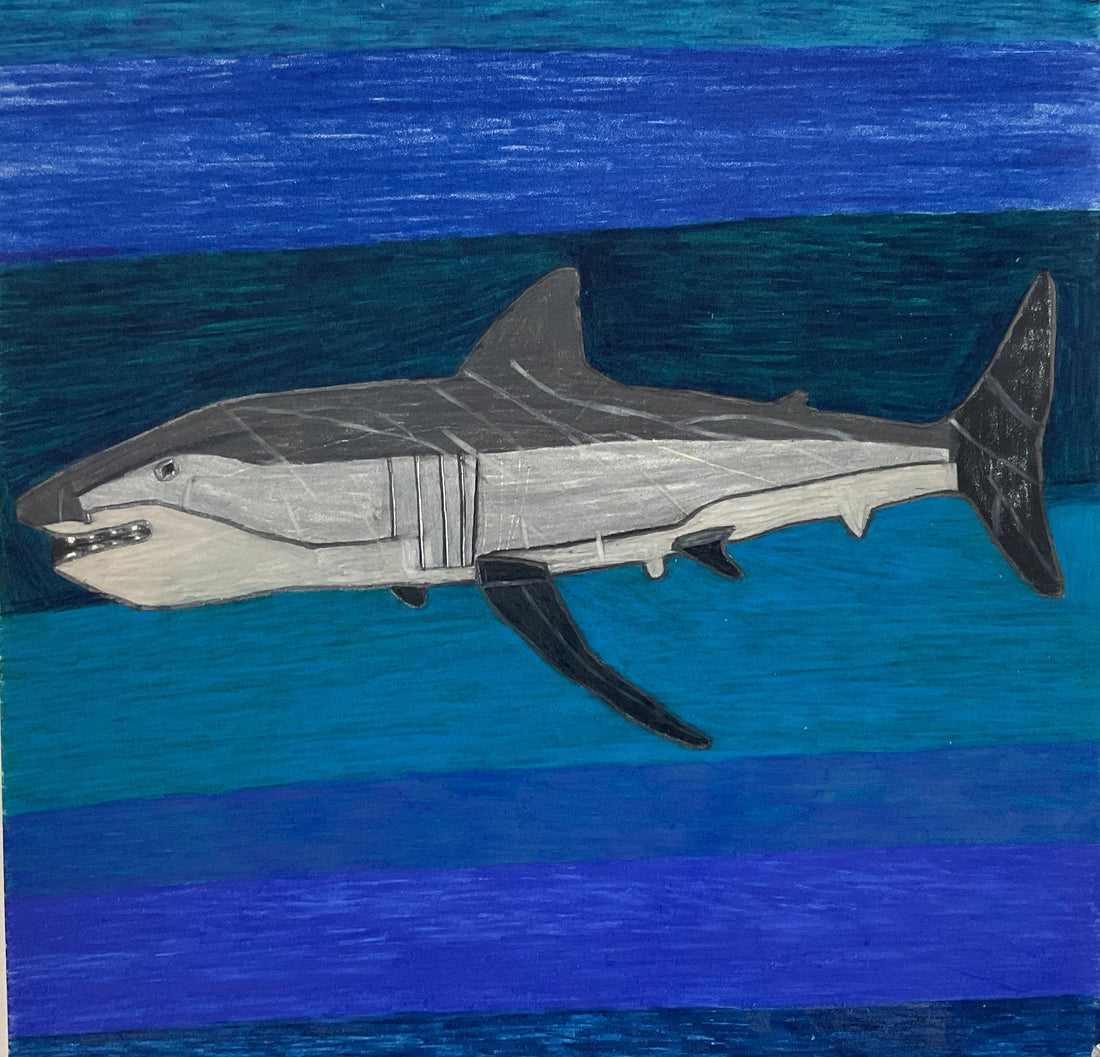 Untitled (Shark) by Jamison Rizzo