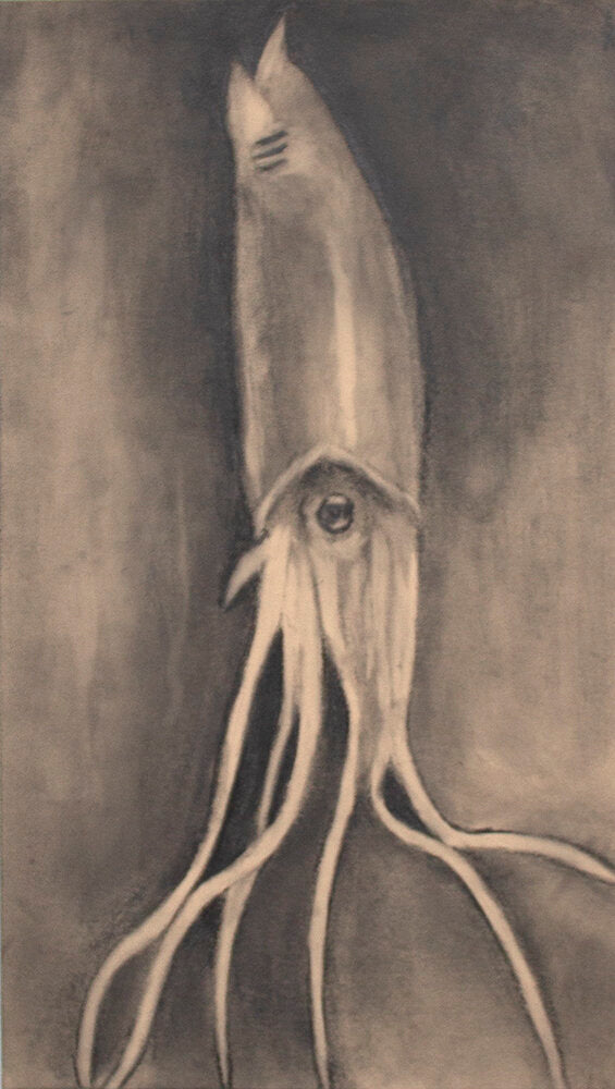 Untitled (Squid) by David Kreiger