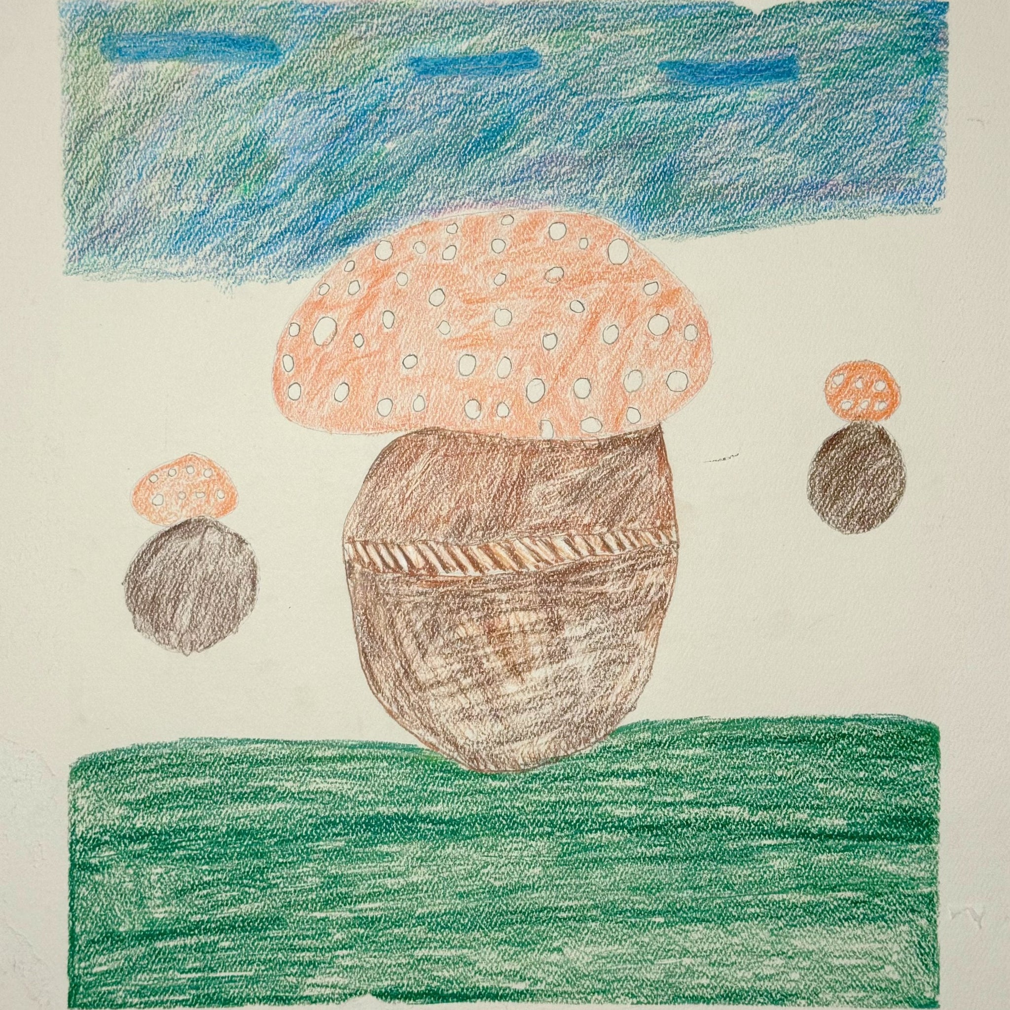 The Mushrooms by Lisette Ruiz