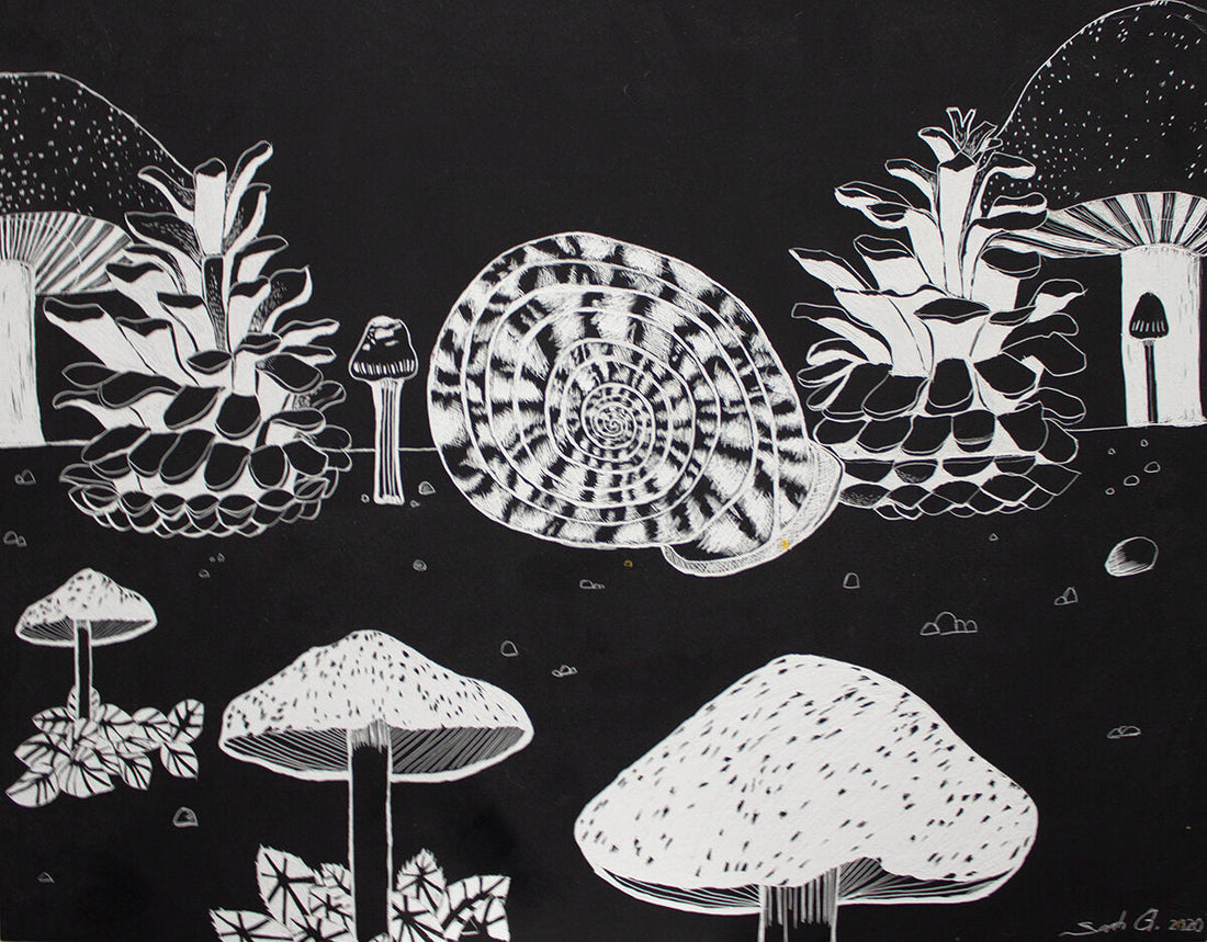 Untitled (Mushrooms) by Sarah Gerke