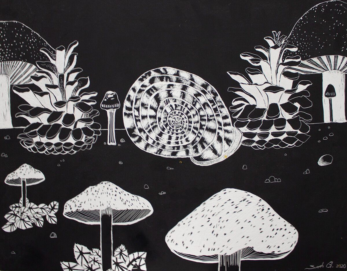 Untitled (Mushrooms) by Sarah Gerke