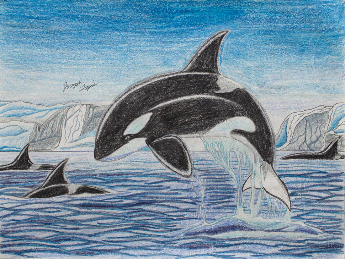 Untitled (Orcas) by Joseph Tapia