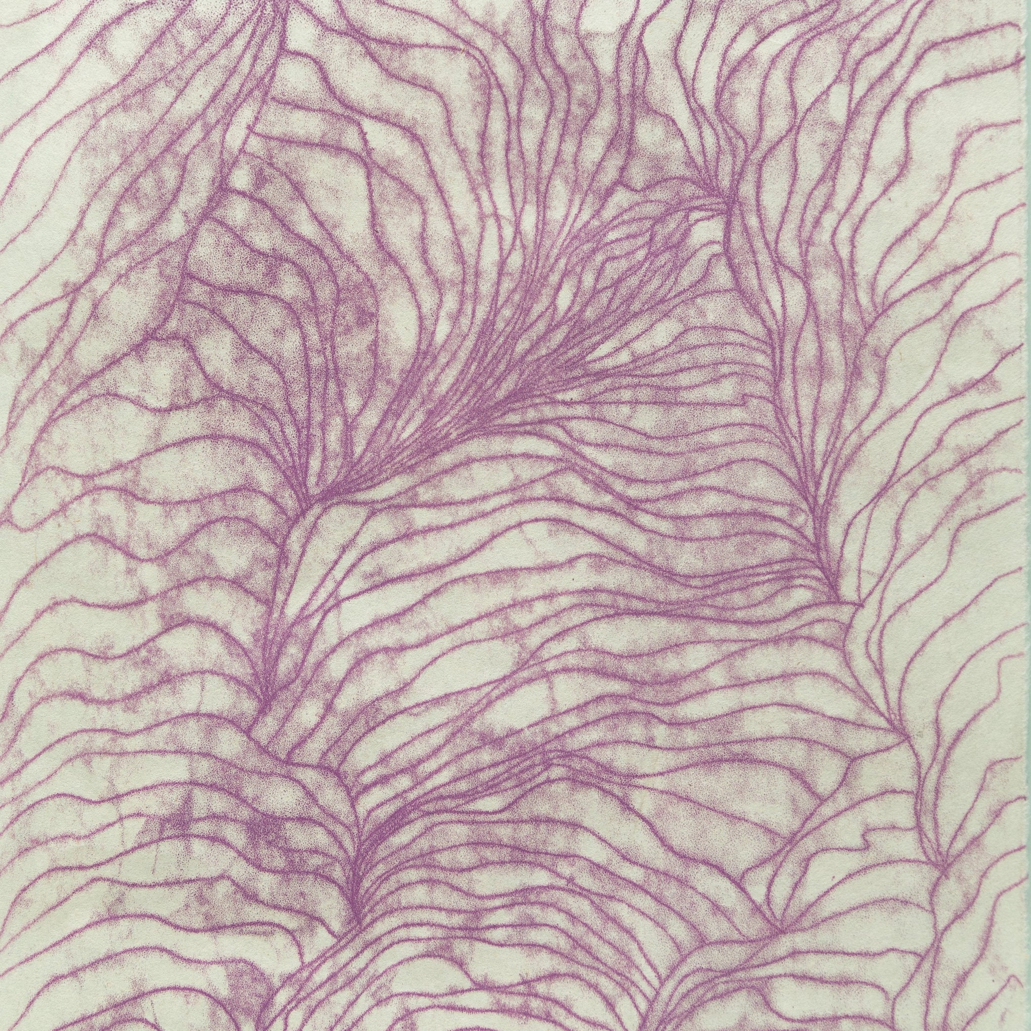 Untitled (Purple Lines) by Alshanaé Ricks