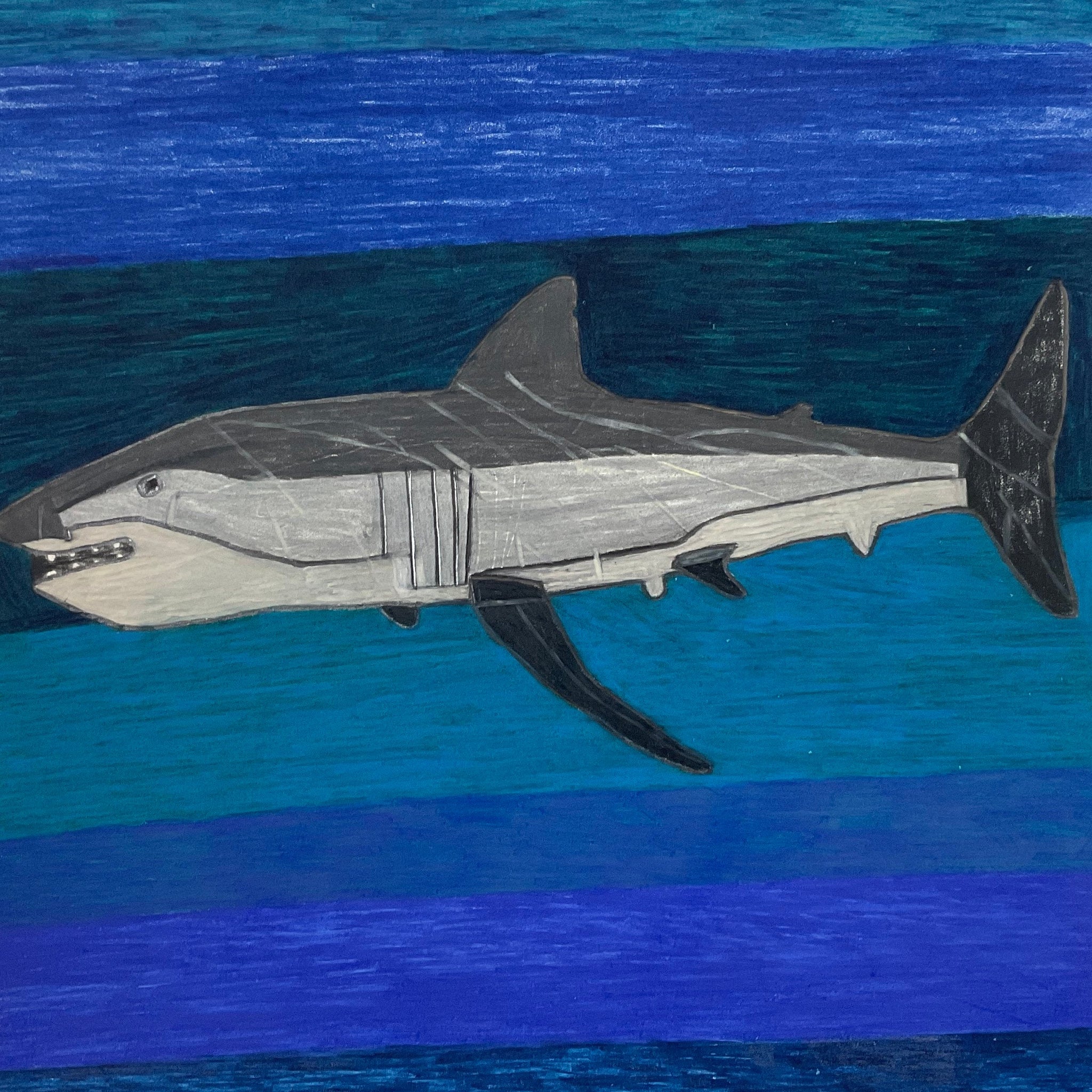 Untitled (Shark) by Jamison Rizzo